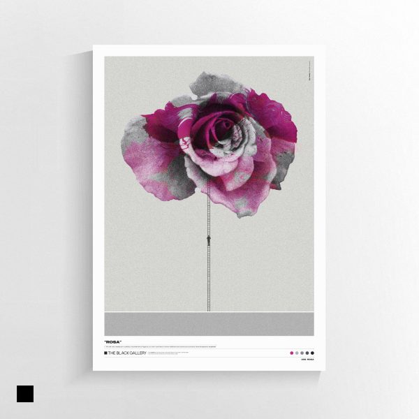 ROSA - Imagen 2